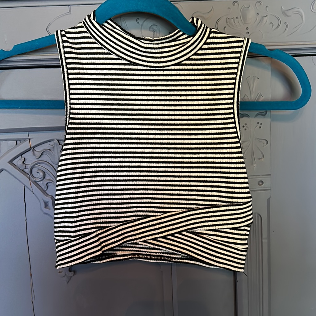 Poetry Stripped Crop Top